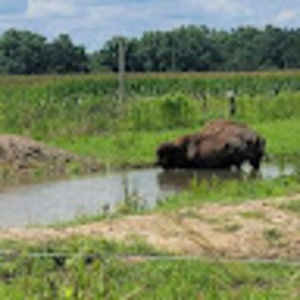 Meet your Posher, Ira